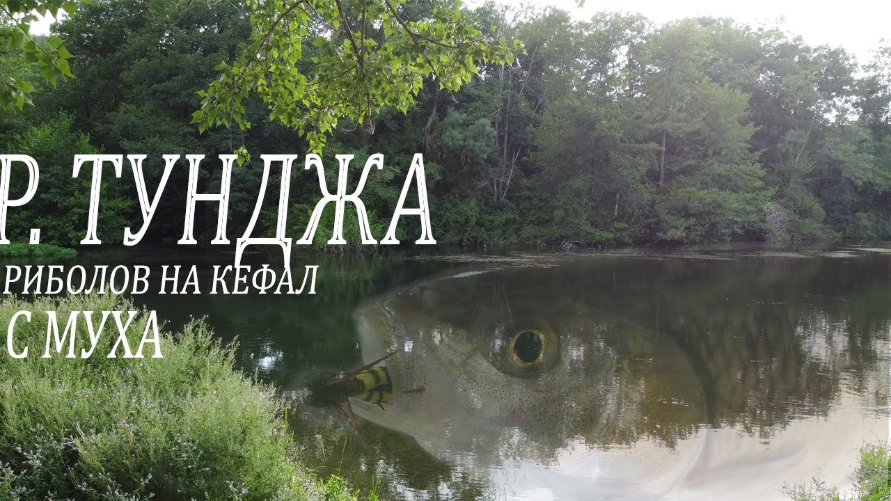 Епизод 4. Риболов на КЕФАЛ с муха по р.Тунджа. /Ep 4 Fly fishing for Chub on the Tundzha river/