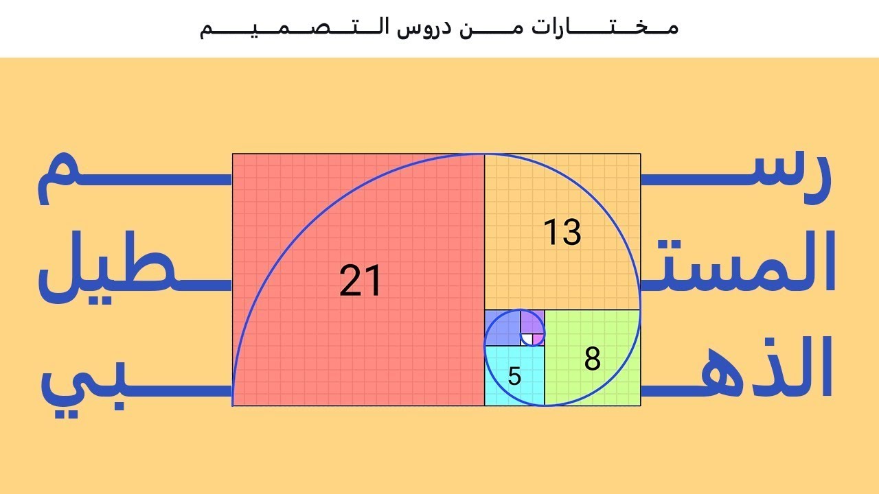 تعلم النسبة الذهبية بخطوات بسيطة للمصممين مع الدكتور محمد موسى