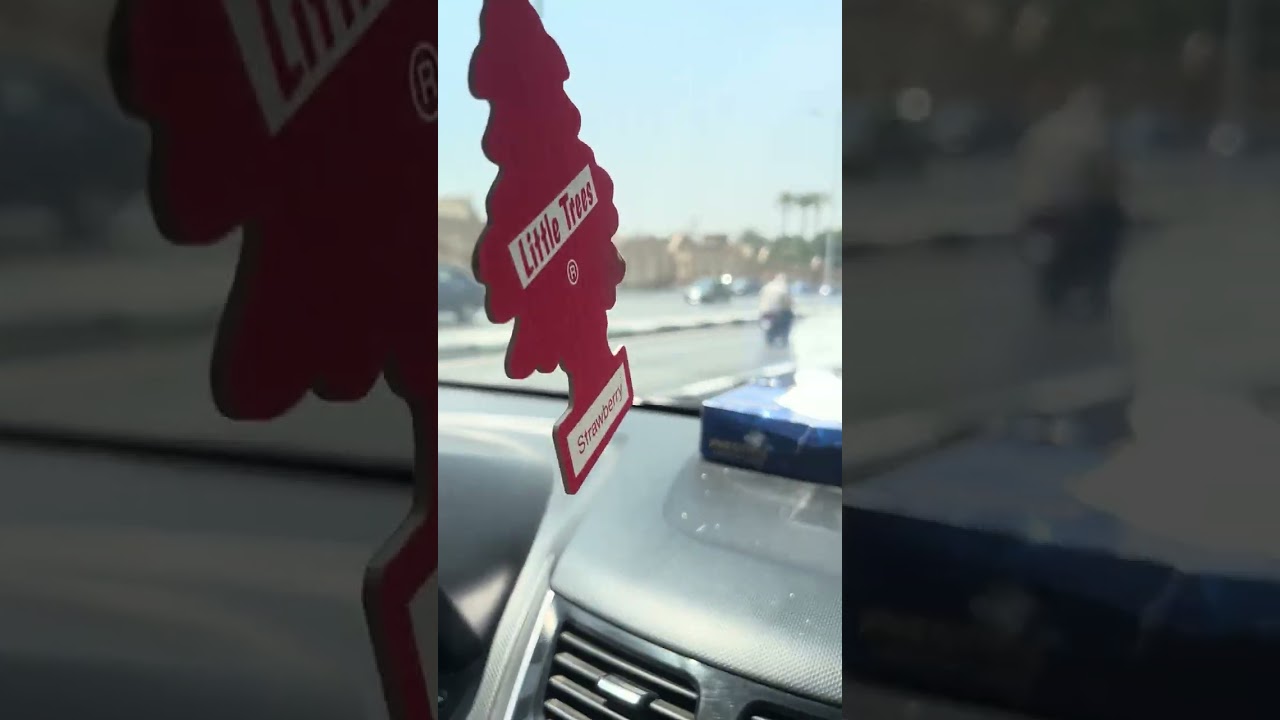 Tour around Cairo; Traveling from Cairo International Airport to the pyramids of Giza