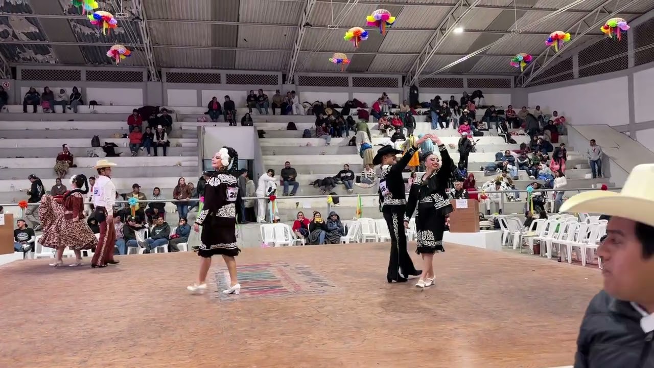 Concurso de Huapango San Felipe Orizatlan 2026