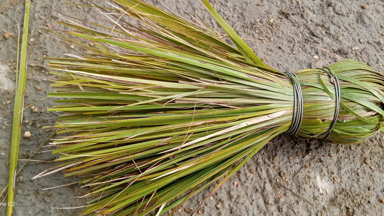 ఈత ఆకులతో ఇంట్లో బూజులు దులిపే బూజు కర్ర ఎలా చేస్తారో చూద్దాం .