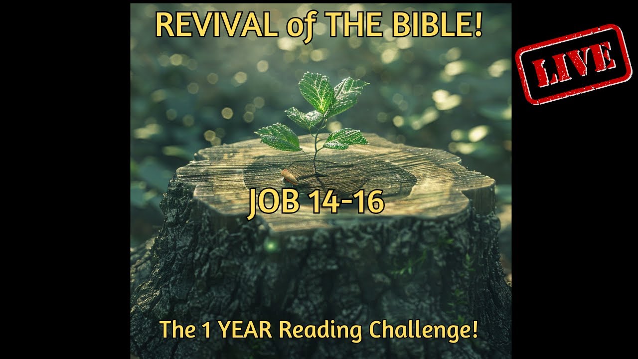 REVIVAL of The BIBLE in 2026!:  Day 7