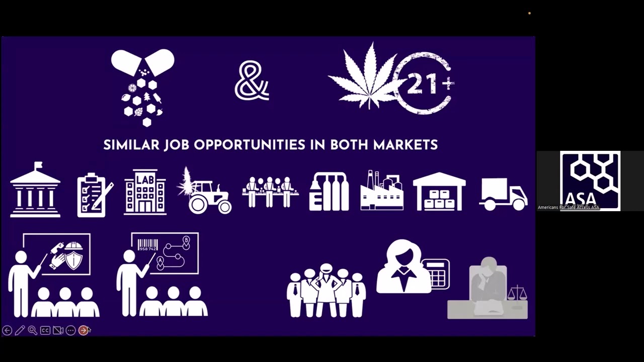 Learn About Emerging Cannabis Policy with Steph Sherer, founder of Americans for Safe Access