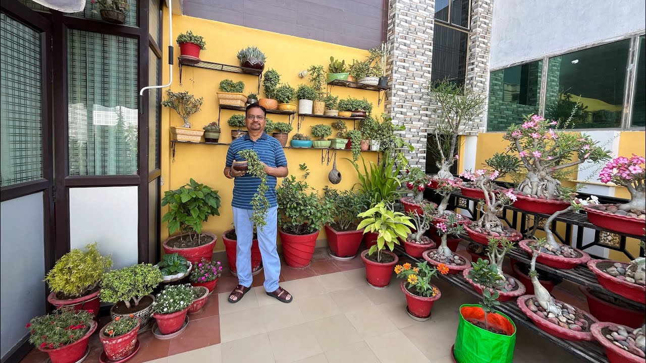बाग़वानी आपको कभी रिटायर नहीं होने देगी 😲 सँभालता हूँ 2-2 गार्डन 🪴 Lucknow Garden Tour