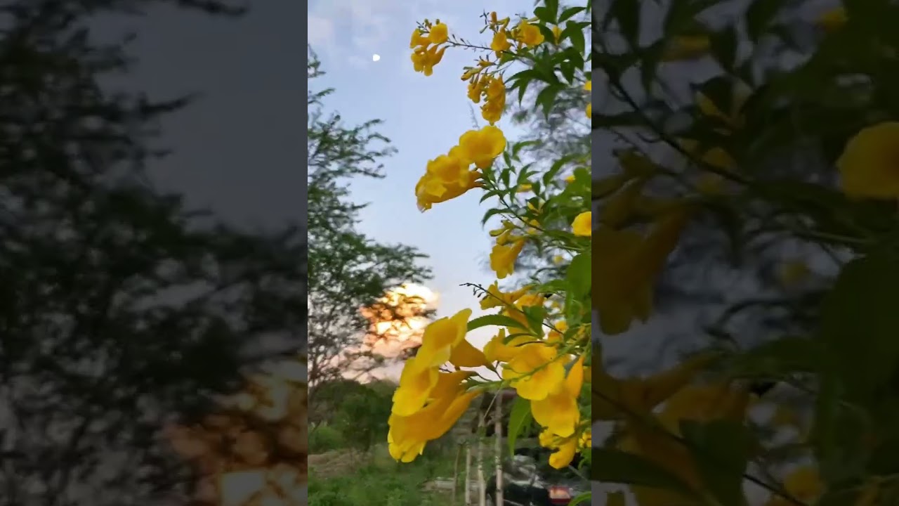 Bellos Paisajes😍 #viralvideo #viral #video #youtube #youtuber #paisajes 