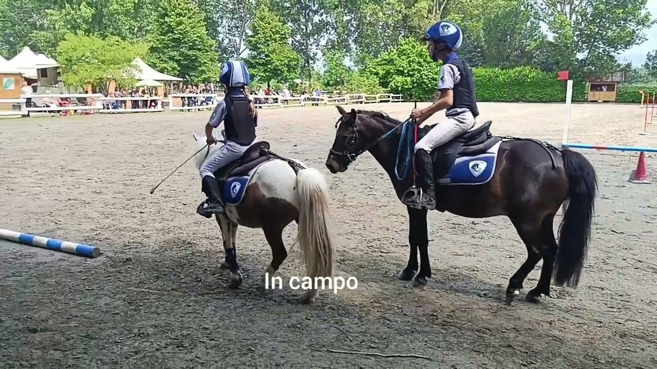 Finale coppa e campionato piemonte....@campionato@podio@pony@cavalli@passione@sacrifici@amici@podio