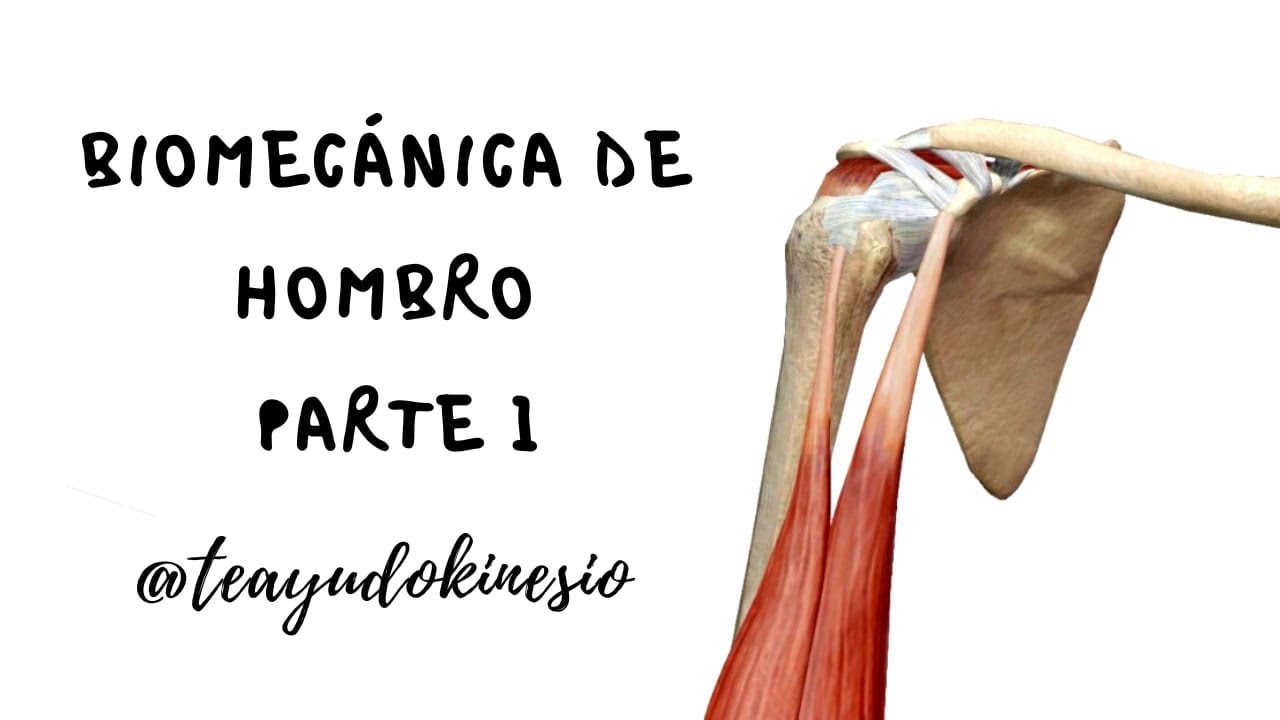 Biomecánica de hombro parte 1: ROM, perfil óseo, situación articular, planos y ejes
