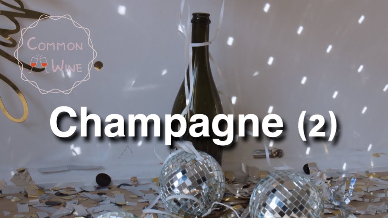 샹파뉴 Champagne (2) | 와인 생산 지역 이야기 | 와인 기초 | 와인공부