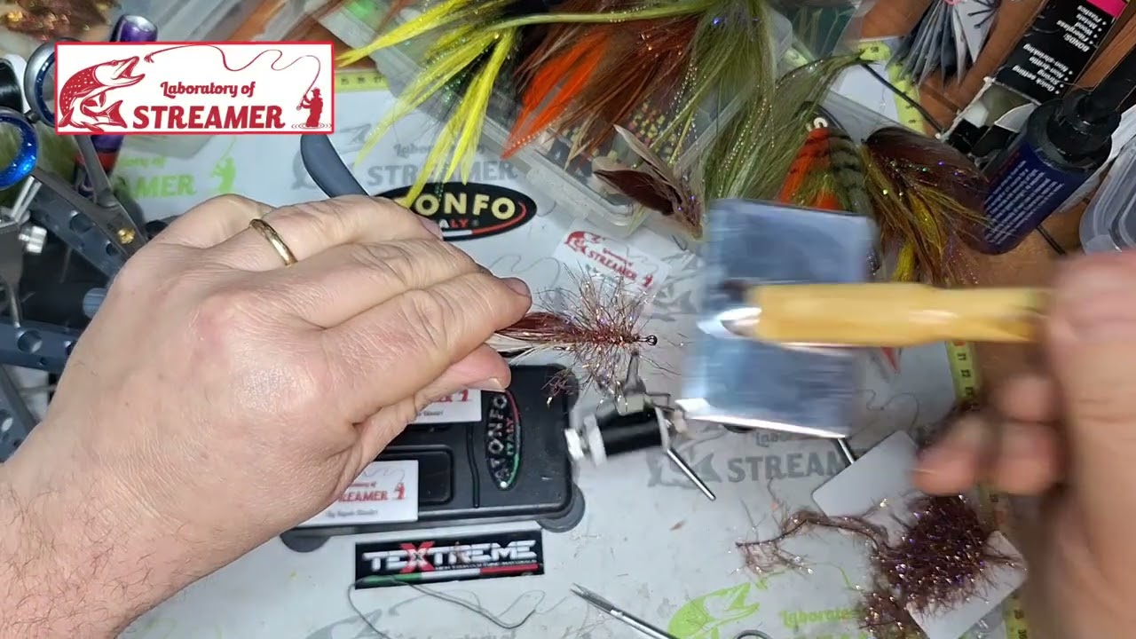 Streamer trout 