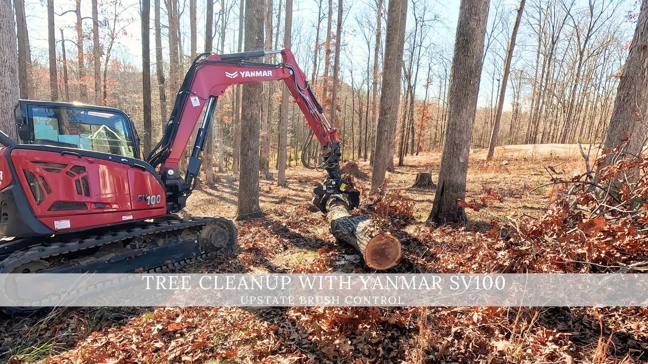 Tree Clean Up with Yanmar SV100