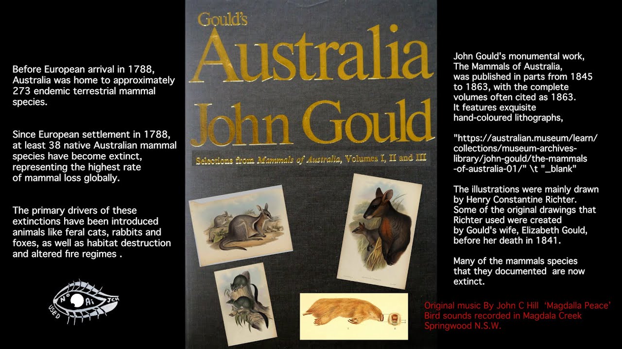 Australia's Unknown, Forgotten or Lost Mammals, John Gould.