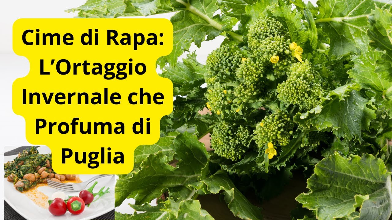 Cime di Rapa: L’Ortaggio Invernale che Profuma di Puglia #CimeDiRapa #CucinaPugliese