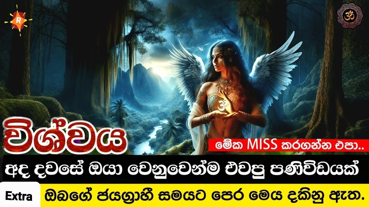 ඔයාගේ ජීවිතය ඔයා හිතුවාටත් වඩා ලස්සන වෙන්නයි යන්නේ.. ඔයා වාසනාවන්තයි ඔයාට මේ වීඩියෝ එක ලැබෙනවාමයි