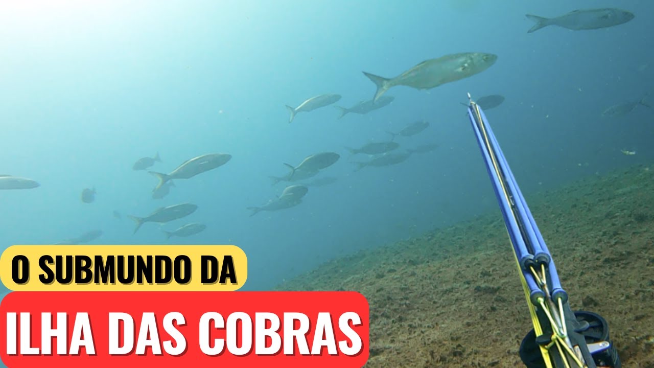 Hunter's Pesca Sub - Mais uma Aventura Fantástica na Ilha das Cobras (Queimada Grande)