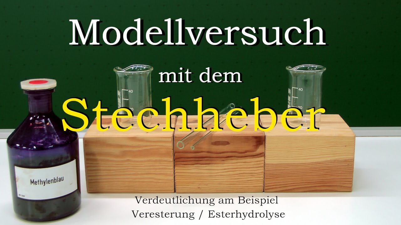 Modellversuch mit dem Stechheber