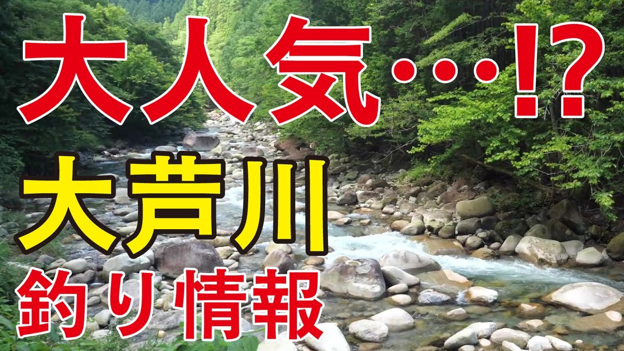 【渓流釣り　大芦川】川遊び人気の大芦川、釣りにはちょっと厳しいです⁉（栃木県鹿沼市）River Healing Channel