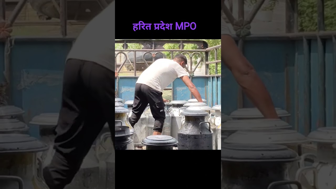 Harit pradesh milk producer Organisation Chilling Centre #milkshorts #motherdairy