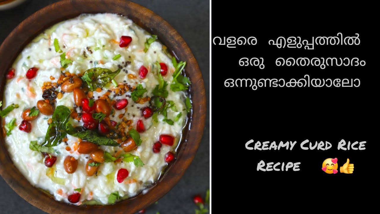 CURD RICE recipe || തൈരുസാദം ||  👍😊  #Curd ricerecipe #absimplevlogs 