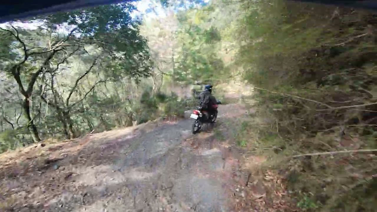 リハビリ林道　2　XR250
