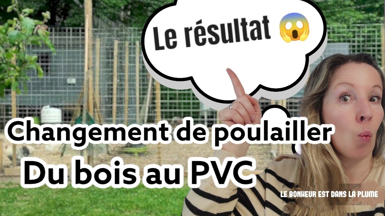Poulailler bois au poulailler pvc changement radicale ! 😱