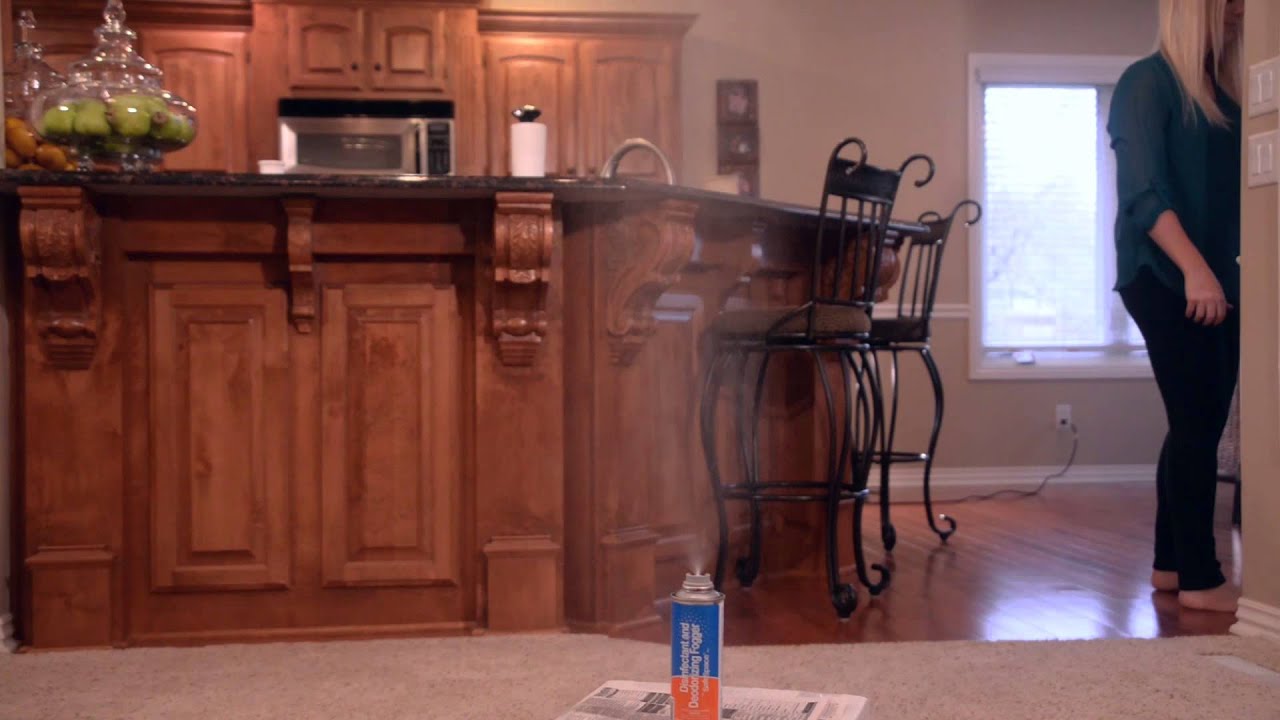 fogger video