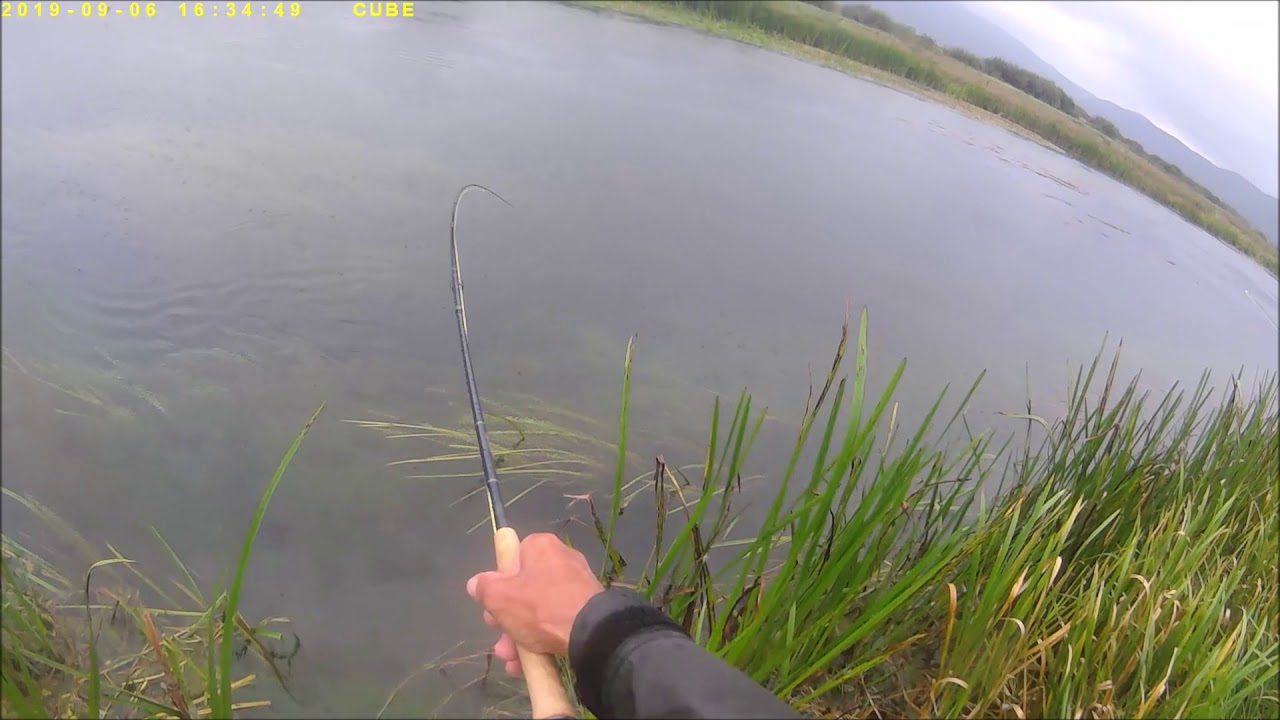 Gacka river  Licko Lesce (HR) fly fishing