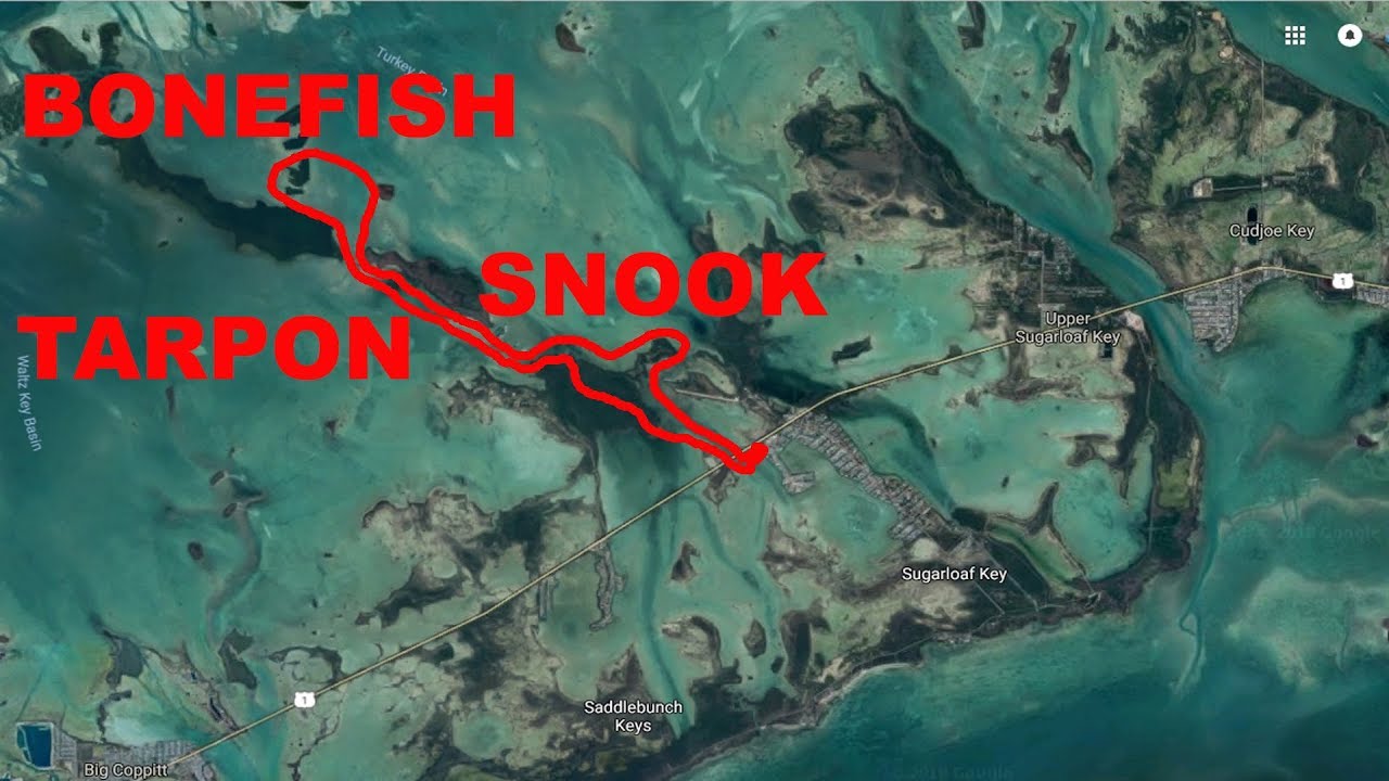 Sugarloaf Key Recon - Tarpon, Snook, Bonefish, and Sawfish