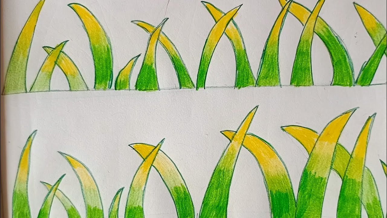 DRAWING Beautiful Grass Scenes Easily Today #anayadrawing #Grassshading ||how to draw grass