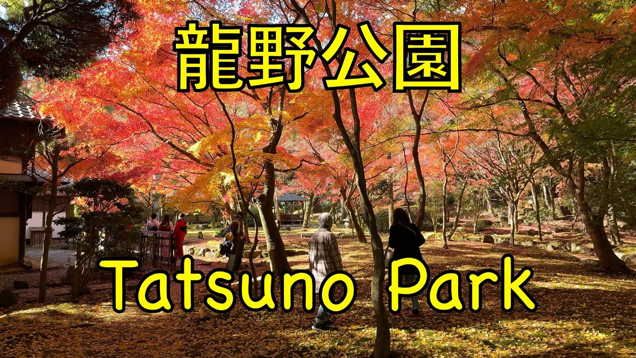 Japan Kansai Hyogo Tatsuno Park Momijidani Shuentei Autumn Fall Foliage Maple Ginkgo Beautiful World