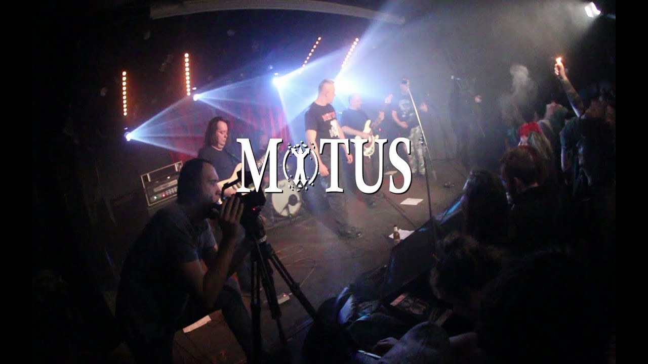 Motus, Fakofbolan, Treaviit (Močvara 1.12.2018.)
