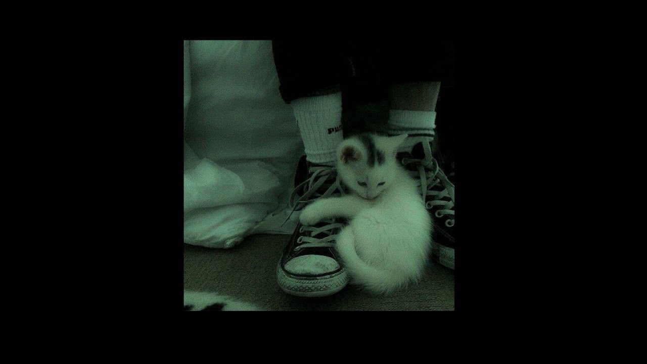Speed up + Slowed phonk/funk audios that boost your confidence🗣️