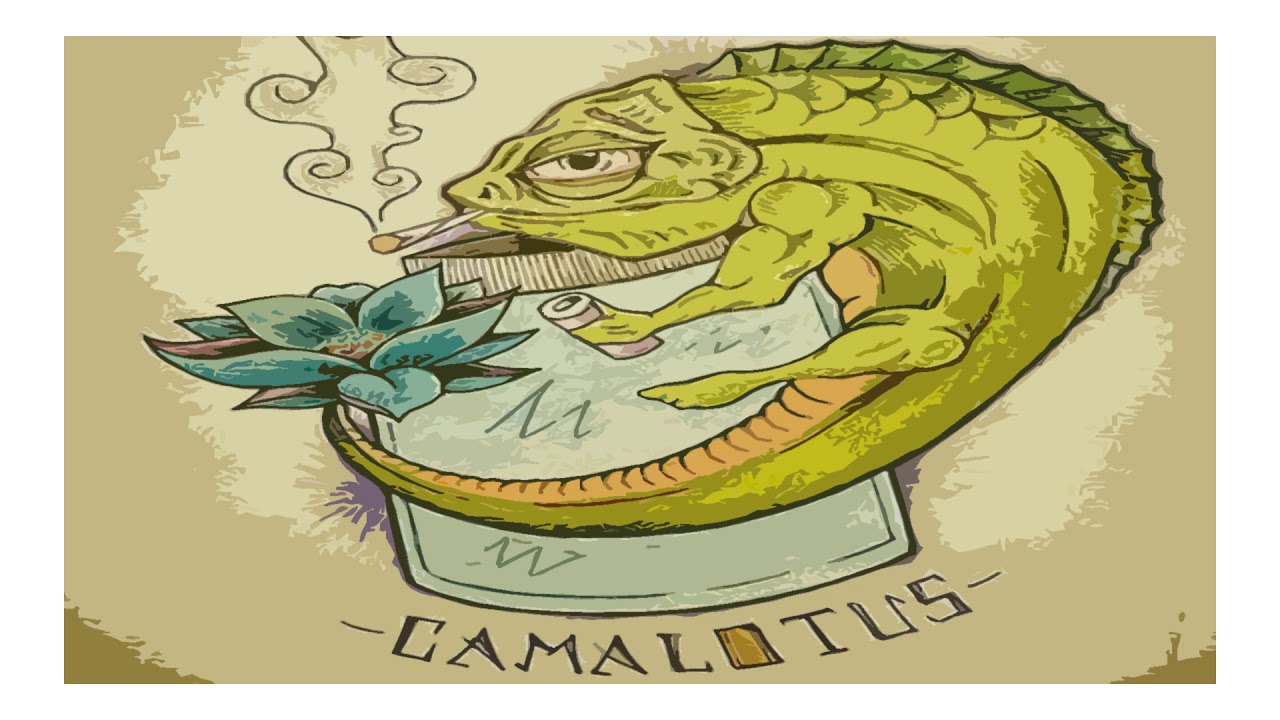 Camalotus Funk -  Safari