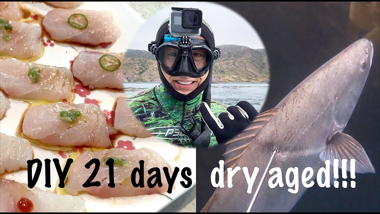 How to dry age White Sea Bass for 21 days and make delicious Sashimi from it!