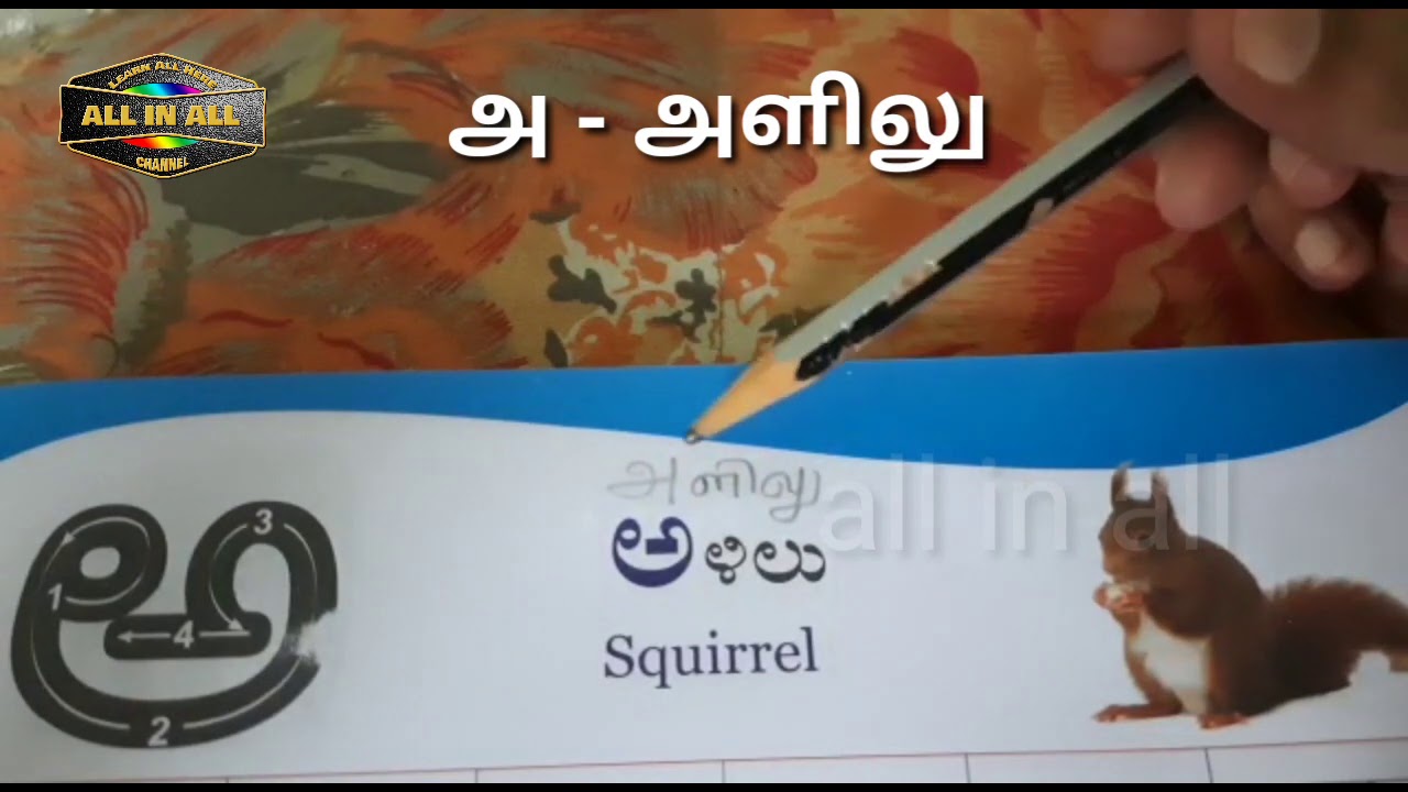 Learn Kannada words through Tamil | Kannada Basic Words | Part 1  | ಕನ್ನಡ | தமிழ் | All in All