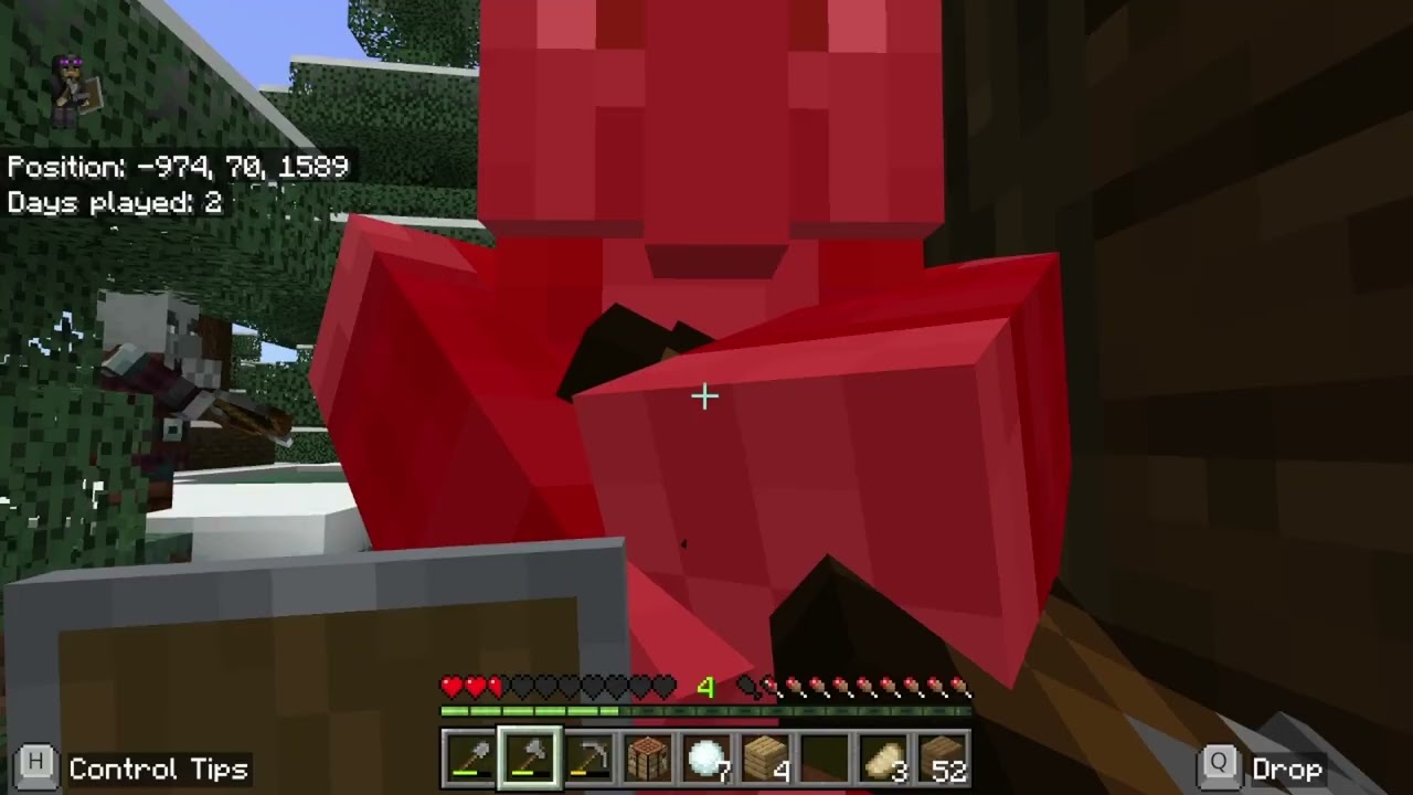 Minecraft let's play village