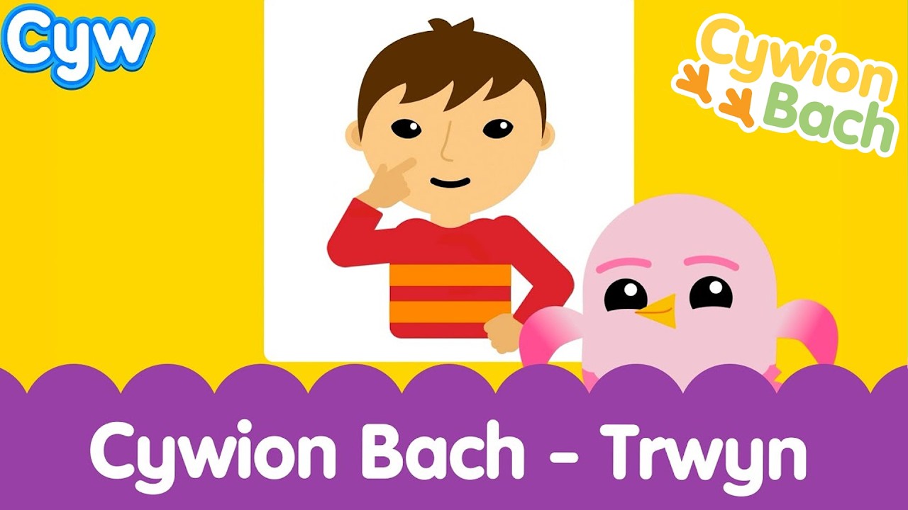 👃Cywion Bach - Trwyn! | Learn Welsh First Words with the Little Chicks 🏴󠁧󠁢󠁷󠁬󠁳󠁿 Nose Toddler Learning