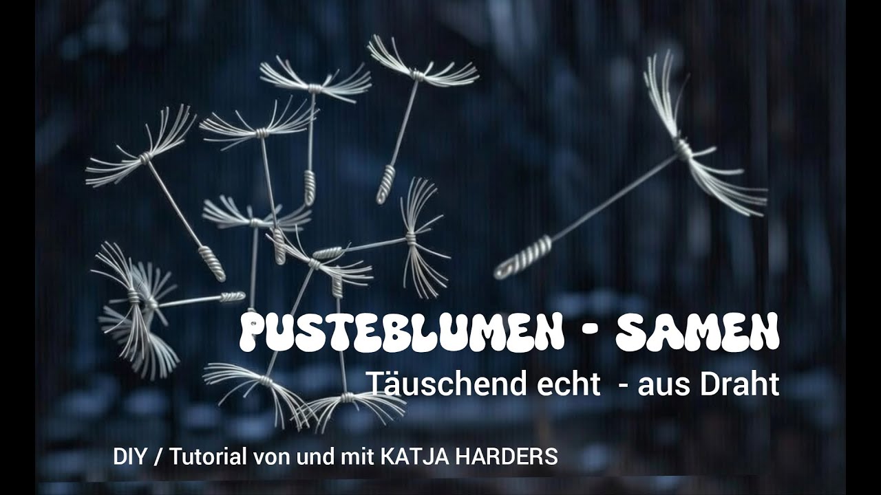 PUSTEBLUMEN-SAMEN