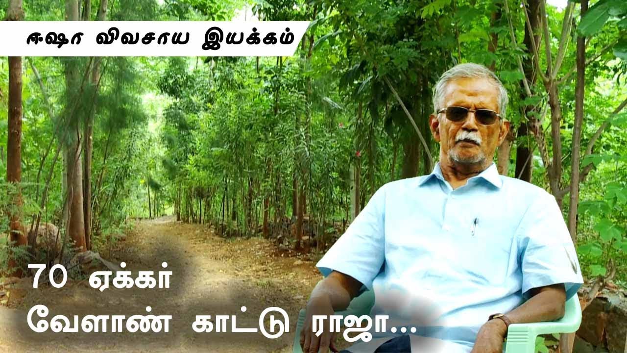 தள்ளாத வயதிலும் தன்னம்பிக்கையுடன் மரம் வளர்க்கும் தம்பதி!