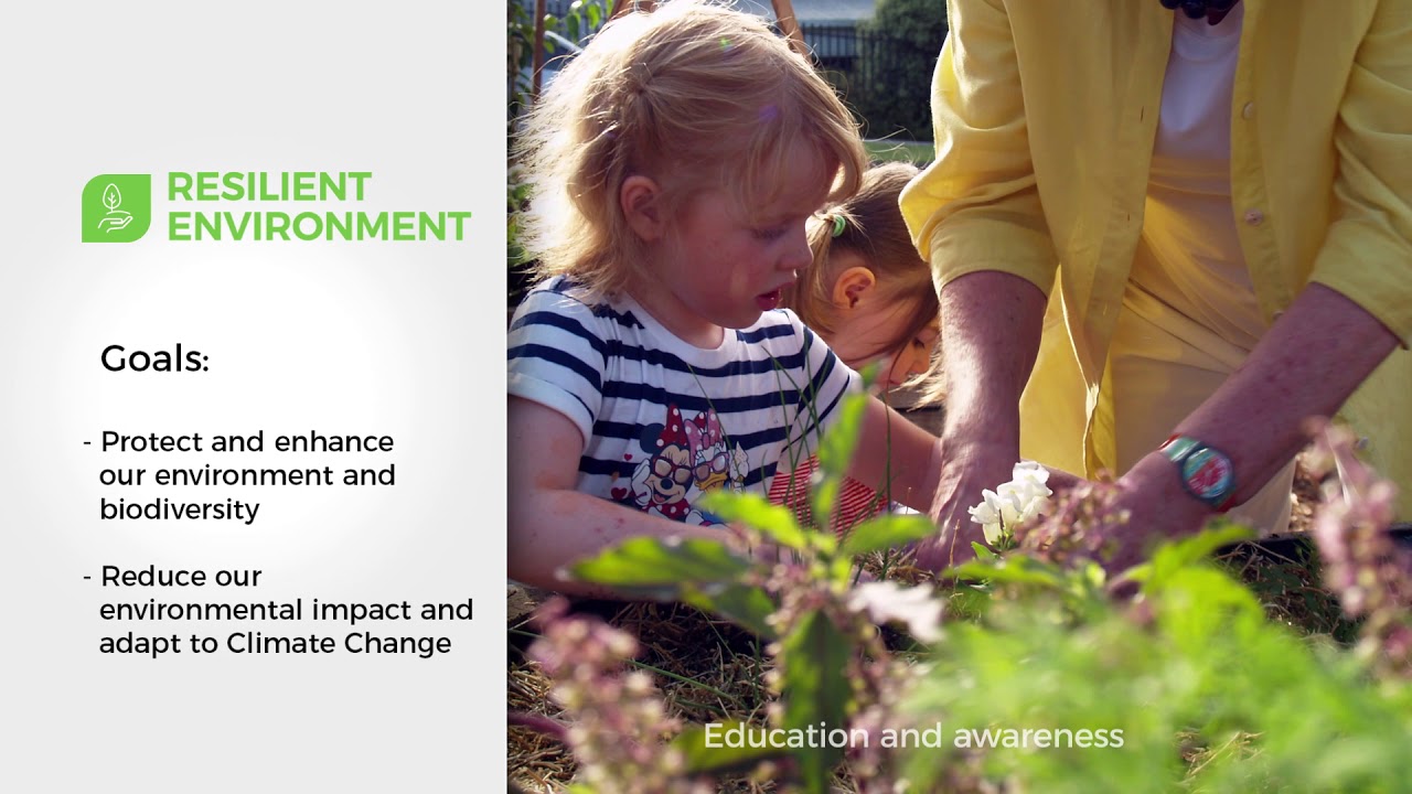 Council Plan: Resilient Environment