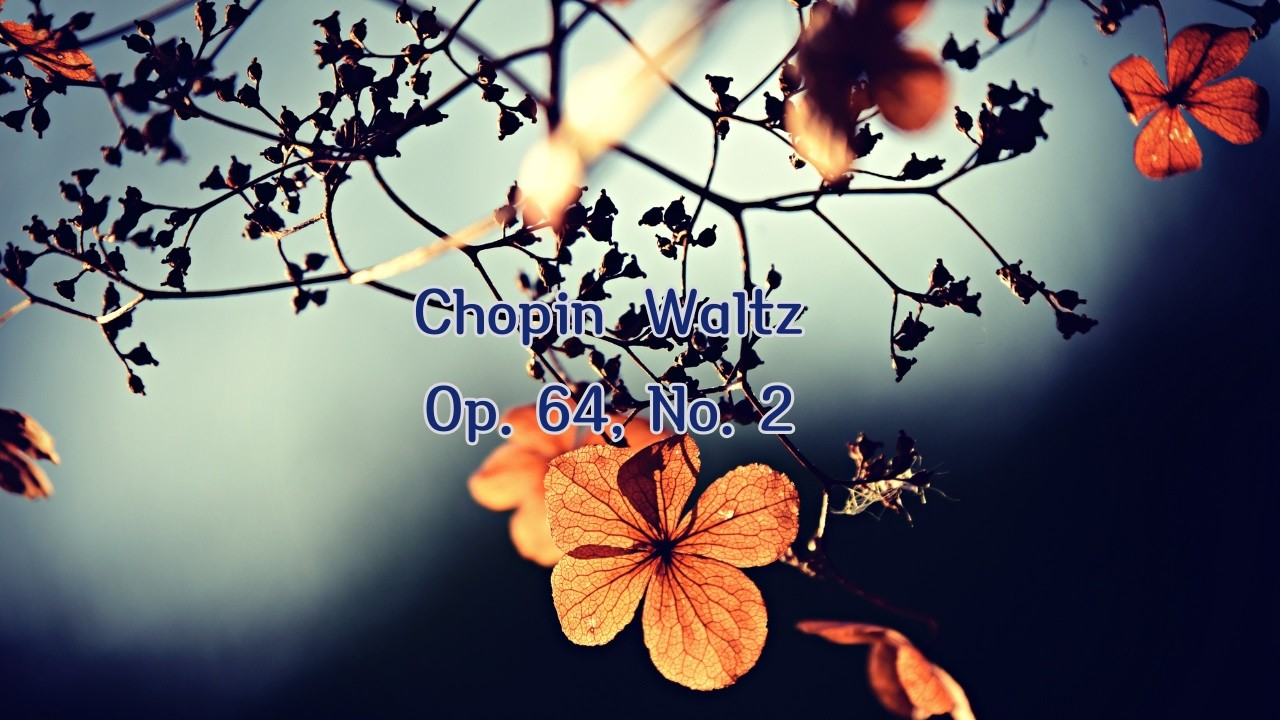 Chopin : Waltz in C sharp minor, Op.64, No.2 쇼팽 왈츠 