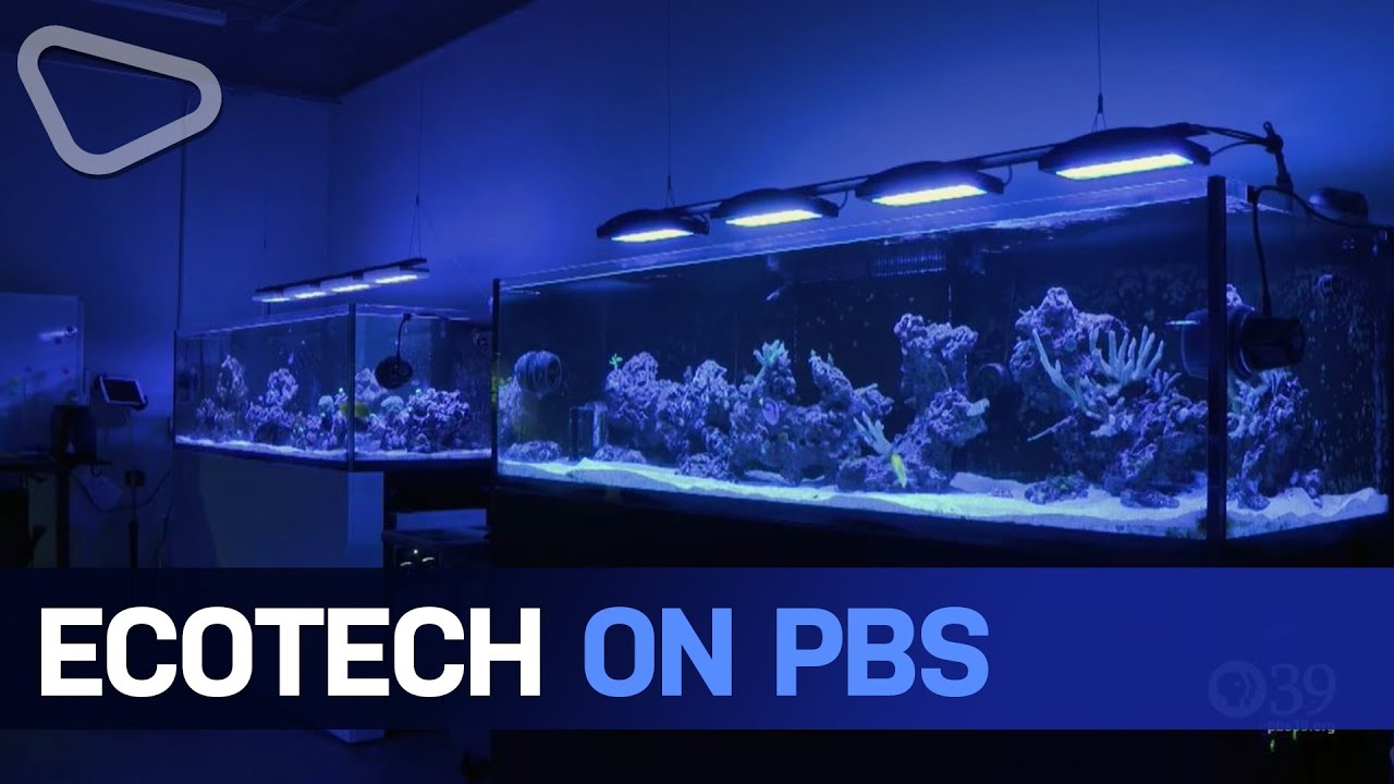 EcoTech Marine on PBS