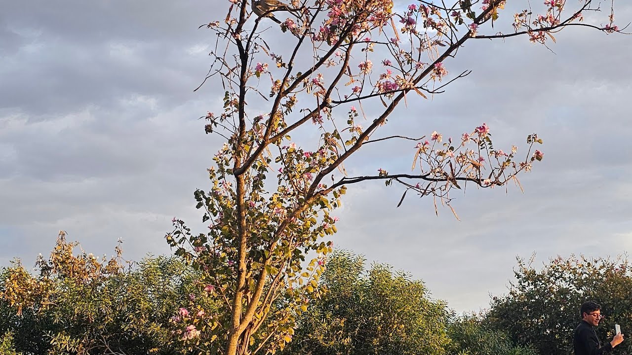¿Como armonizarte con la naturaleza y porque? Justicia Divina 