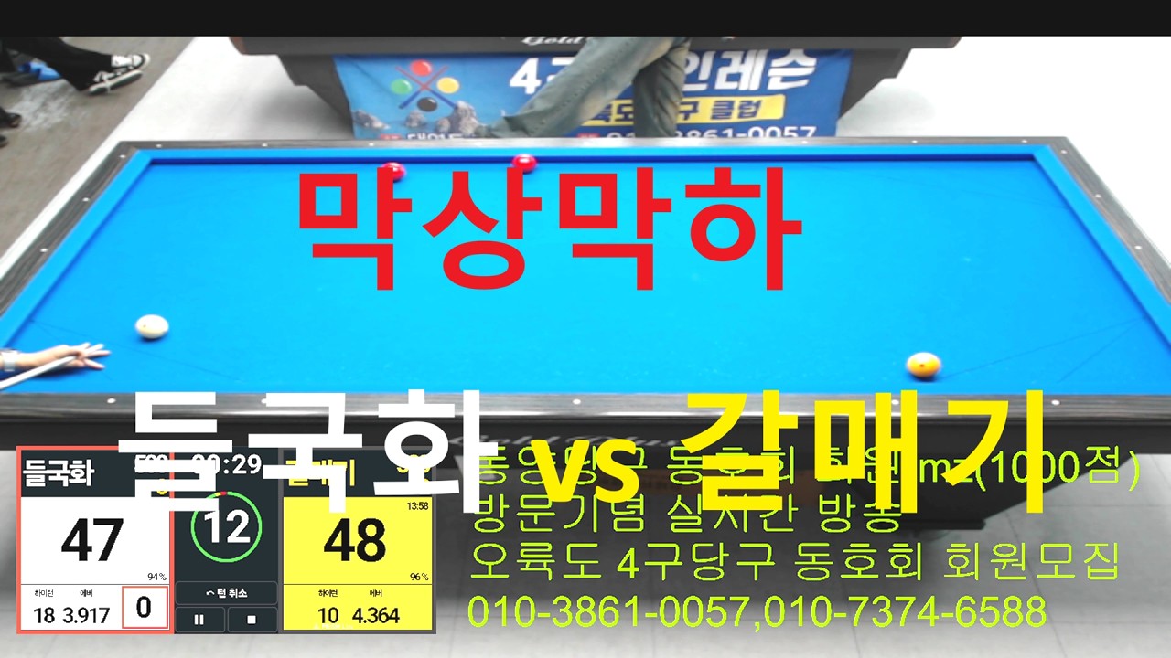 들국화500vs갈매기500