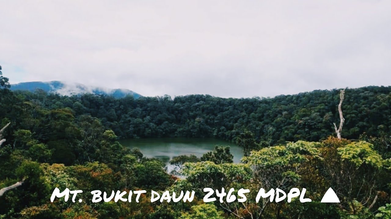 Bukit daun . rejang lebong. Bengkulu