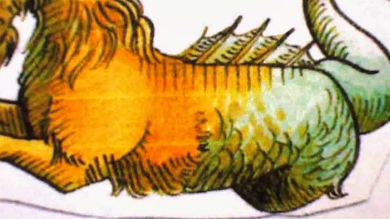 Signo Capricornio