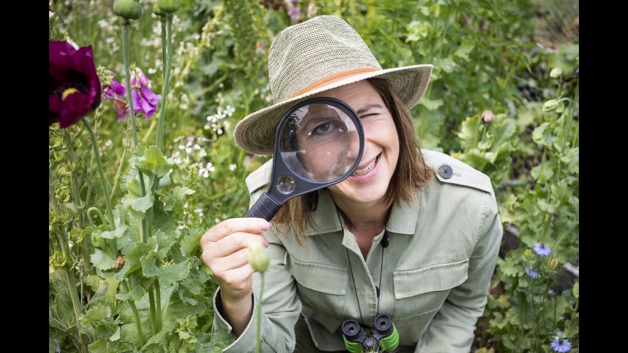 Maak van je tuin een minizoo (ism HLN.be)