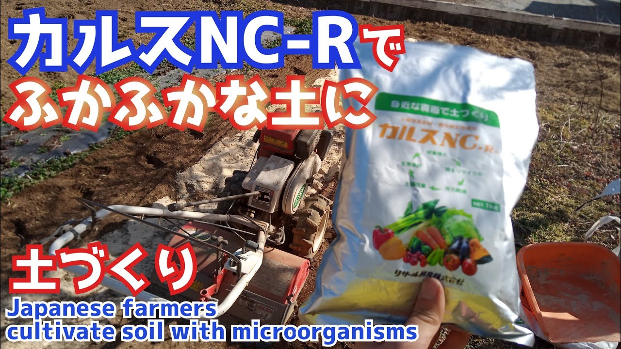 微生物資材カルスNC-Rを使ってふかふかな土づくり