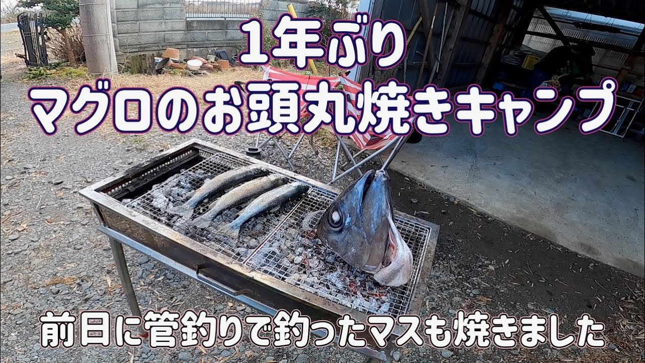 知人の実家で１年ぶりにマグロのお頭丸焼き part.３