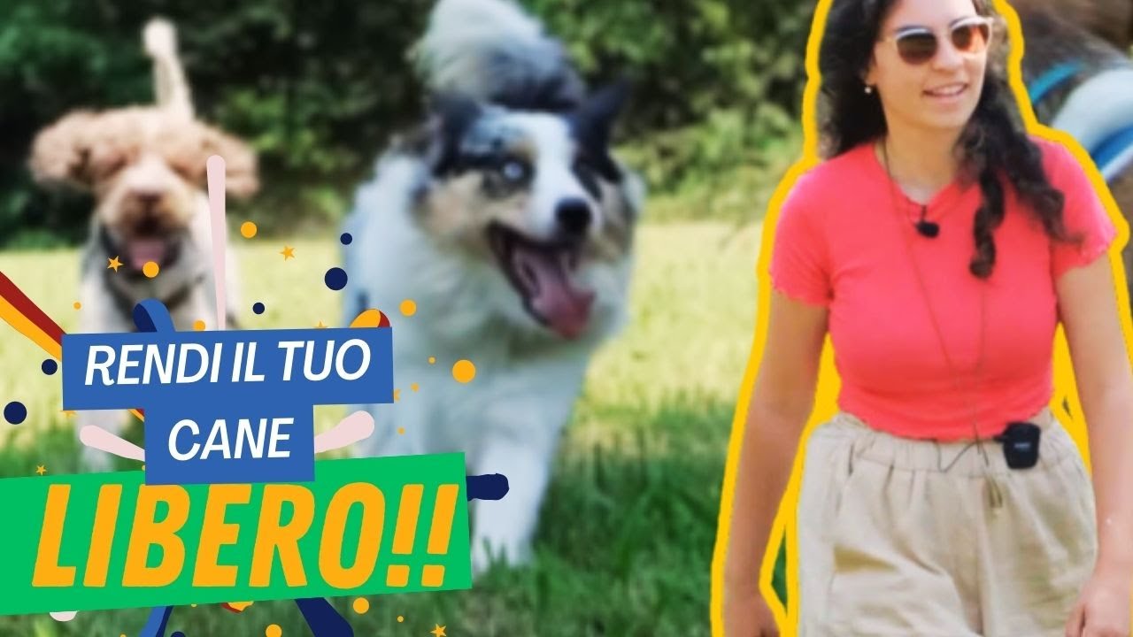 Come lasciare il cane libero