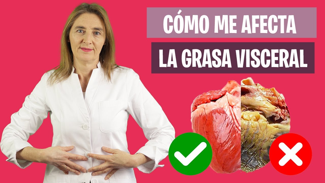 &iquest;Es PELIGROSA la GRASA VISCERAL? | Qu&eacute; es la grasa abdominal |&nbsp; Nutrici&oacute;n y Diet&eacute;tica